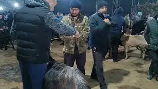 мол бозори вахдат