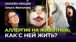 «Аллергия на животных: как с ней жить?». Ольга Жоголева 