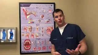 All About the Lingual Frenulum