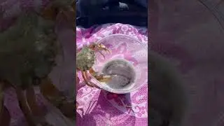 Пива, дай пива!!!