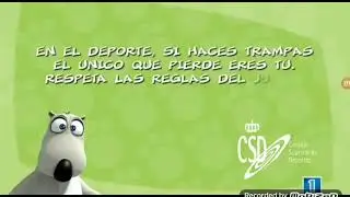 Berni csd