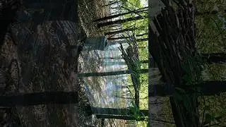 Transparent house in the forest. Do it yourself!
