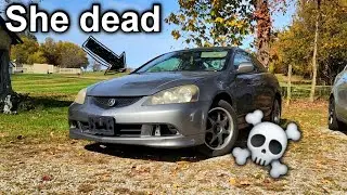 The RSX DIED & Channel Update