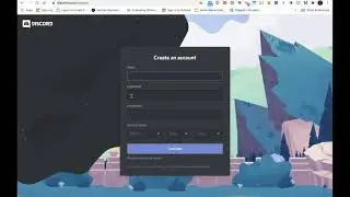 Overview of Discord