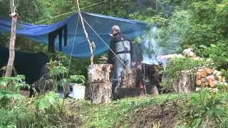 Камчатские берёзы
