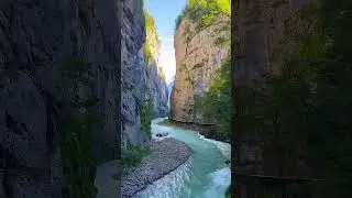 #naturevideo   #shorts #shortsvideo  #statusvideo #statusvideo #trending #naturevideo #relaxingmusic