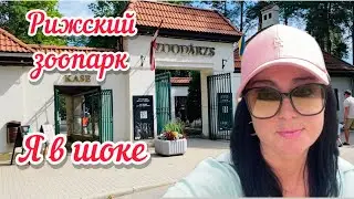 Vlog💚ПОЖАЛУЙСТА НЕ ПУСКАЙТЕ ТУДА ДЕТЕЙ // ЭТО ЖЕСТЬ // МНЕ БЫЛО СТЫДНО //