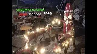 Упряжка оленей деда мороза 2023 ( мастерская деда мороза )
