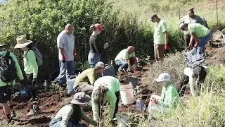Planting Green Firebreaks with Malama Learning Center