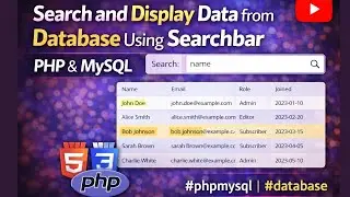 Search  and Display Data from Database Using Search Bar | PHP  & MySQL 