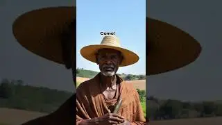 Y todo empezo gracias a una cabra