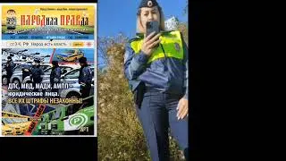 Организмы функции в формах устроили БЕСпредел!