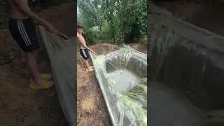 #басейн