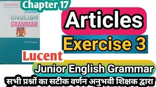 Exercise 3 articles | lucent grammar