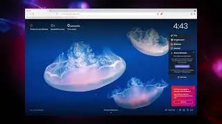 How to Use the New Brave Digital Wallet