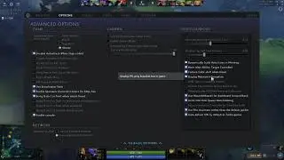 bzm Dota2 Settings