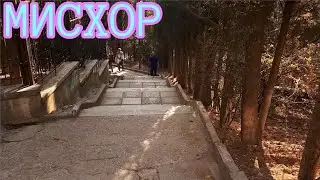 КРЫМ САНАТОРИЙ МИСХОР ПРОГУЛКА К ПЛЯЖУ,РУСАЛКА И МОРЕ.ОКТЯБРЬ2020
