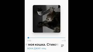 Когда мурчит моя #кошка. #стихотворение #бонаджиу