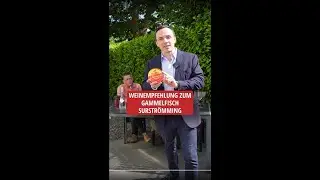 Schwedischer Gammelfisch mit Weinprobe: Überleben der Stärksten