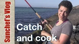 Catch and solar cook