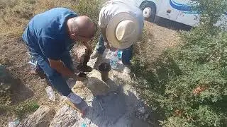 Tulumbacılar Nature Travelers #shortsfeed #shortvideo #youtube #like #shortsfeed #like #emirdag
