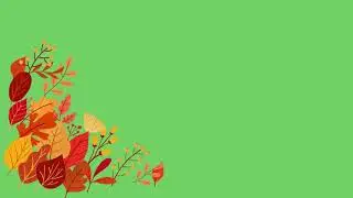 Autumn Leaves 3D Animation Effects Green Screen Effect || green & Blue screen Effects Video Editors