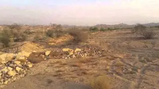 Arid Swales Update 20 Months After First Planting