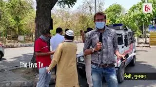 Prime Time | Gujarat News | Today Trending News | Vijay Rupani | Prime Minister Modi