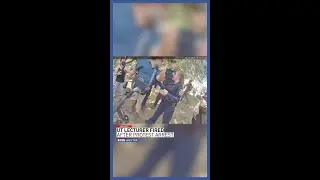UT lecturer fired after arrest for misdemeanor at Palestine protest