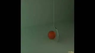 Sphere or Hemisphere? | Most Satisfying Animation | Looping Animation [10]