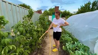 ДОМ В ДЕРЕВНЕ / РАБОТА на УЧАСТКЕ / Семья ❤️