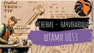 Курс Тиснение для начинающих. Урок штамп U853