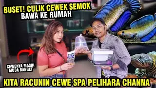 KIDNAPPED THE GIRL WHO GOT A SPA MASSAGE! POISONED OUR PET CHANNA AND BROUGHT IT HOME