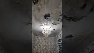 Аччиқ ҳақиқат шунақами...