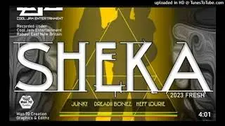 DJ Hausten(Cool Jam Entertainment) - SHEKA(2024)[Tafe@FVM🇨🇩]