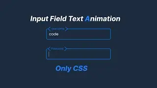 CSS Input Field Text Animation 