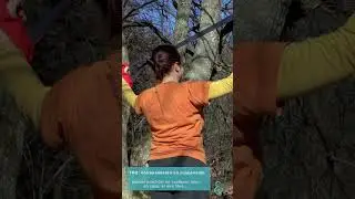 Entrenamiento en suspensión para tonificar todo tu cuerpo