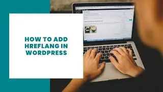 ⭐ How to add Hreflang in Wordpress without Code