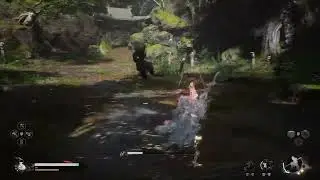 Revenge!! NG+ Black Myth Wukong