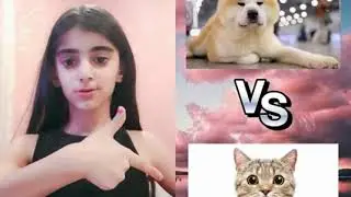 Мои видео из лайка(1)