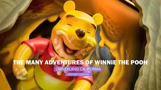 WINNIE the POOH | RIDE en Disneyland California
