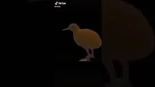 Мемчик