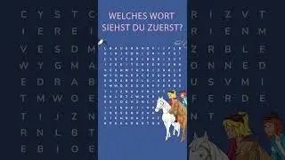 Niemand wird wirklich direkt das gleiche sehen!  #bibiundtina #rätsel