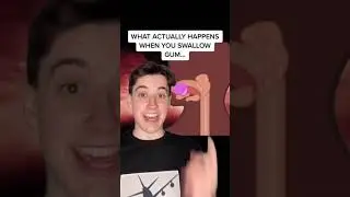 What Actually Happens When You Swallow Gum 