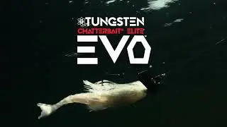 Tungsten ChatterBait Elite EVO