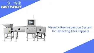 See Through the Heat: Visual X-Ray Inspection System for Detecting Chili Peppers