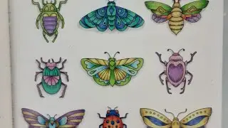 Coloring insects with Grizaye colored pencils in Small Victories by Johanna Basford.
