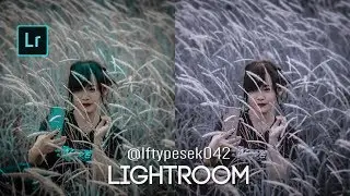 Cara Edit Foto Seperti @Iftypesek042 Di Lightroom Cc Mobile | Tutorial Lightroom | Dani Design
