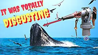 Albany, Western Australians Spectacular South Coast, Worlds only complete Whaling Station
