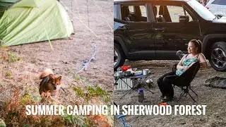 Camping in the forest - Pine wood sherwood forest campsite 英國靚 松木森林露營地